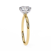 Yellow Gold Round Brilliant Solitaire Diamond Engagement Ring