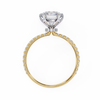 Yellow Gold Round Brilliant Diamond Ring