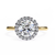Yellow Gold Round Brilliant Halo Diamond Engagement Ring