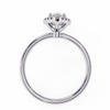 White Gold Pear Diamond Halo Solitaire Engagement Ring