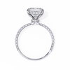 White Gold Princess Cut Diamond Ring with Hidden Halo and Pavé Band