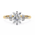 Yellow Gold Kite-Set Princess Cut Diamond Ring with Scattered Cluster Accent