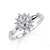 White Gold Round Diamond Sunburst Halo Ring