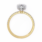 Yellow Gold Pear Cut Diamond Ring with Hidden Halo and Pavé Band
