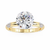 Yellow Gold Round Diamond Pavé Accent Solitaire Engagement Ring