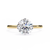 Yellow Gold Round Brilliant Solitaire Diamond Engagement Ring