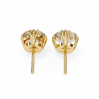 Stilla stud earrings