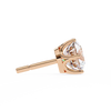 Swarovski Stilla stud earrings
