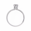White Gold Marquise Diamond Solitaire Pavé Engagement Ring