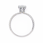 White Gold Oval Diamond Solitaire Pavé Engagement Ring