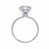White Gold Round Diamond Solitaire Pavé Engagement Ring