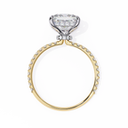 Yellow Gold Princess Cut Diamond Ring with Two-Tone Prongs