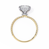 Yellow Gold Princess Cut Diamond Ring with Two-Tone Prongs