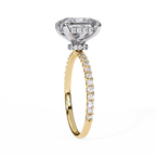 Yellow Gold Princess Cut Diamond Ring with Two-Tone Prongs