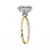 Yellow Gold Princess Cut Diamond Ring with Two-Tone Prongs