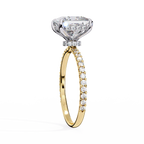 Yellow Gold Princess Cut Diamond Ring with Two-Tone Prongs