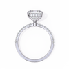 White Gold Princess Cut Diamond Ring with Hidden Halo and Pavé Band